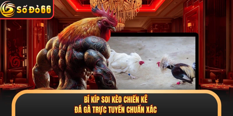 Bí kíp soi kèo chiến kê đá gà trực tuyến chuẩn xác