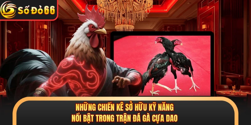 Những chiến kê sở hữu kỹ năng nổi bật trong trận đá gà cựa dao