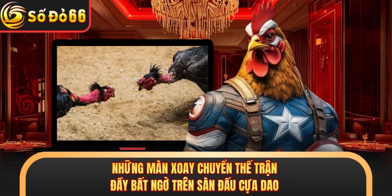 Những màn xoay chuyển thế trận đầy bất ngờ trên sàn đấu cựa dao