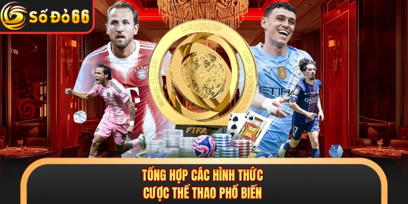Tổng hợp các hình thức cược thể thao phổ biến