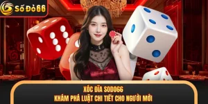 Xóc Đĩa SODO66 - Khám Phá Luật Chi Tiết Cho Người Mới